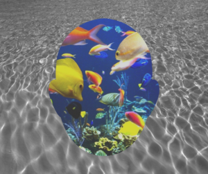 Seed Copywriting web content